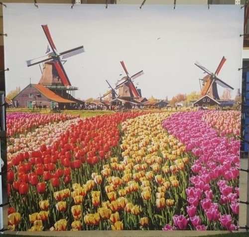 Fotodecor - Holland